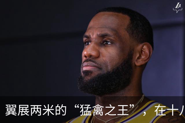 翼展两米的“猛禽之王”，在十八里长峡被拍到了